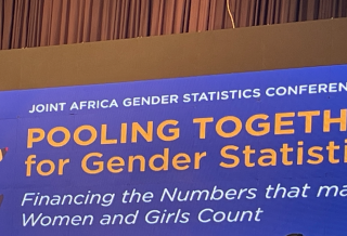 UNESCO IESALC’s gender projects disseminated at Africa Gender Statistics Forum